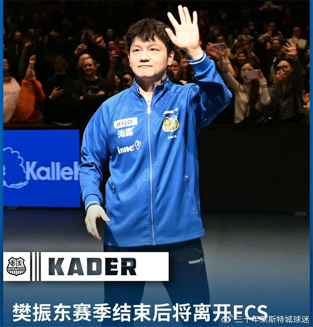 樊振东回归国家队可能性几何？王励勤或成关键