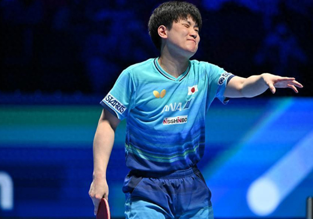 张本智和澳门世界杯1-4负林昀儒止步八强 日媒：